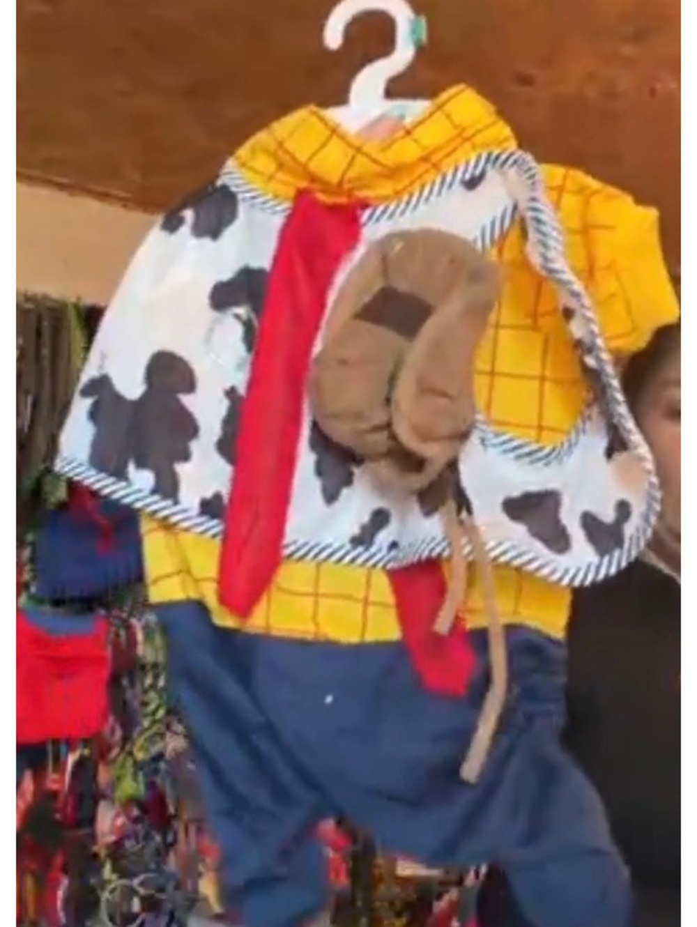 Cowboy character pet costume size small